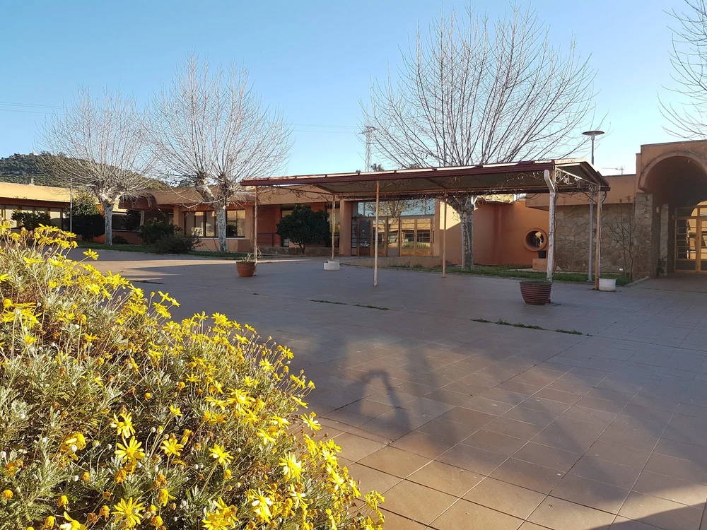 Instituto de Mayores y Servicios Sociales