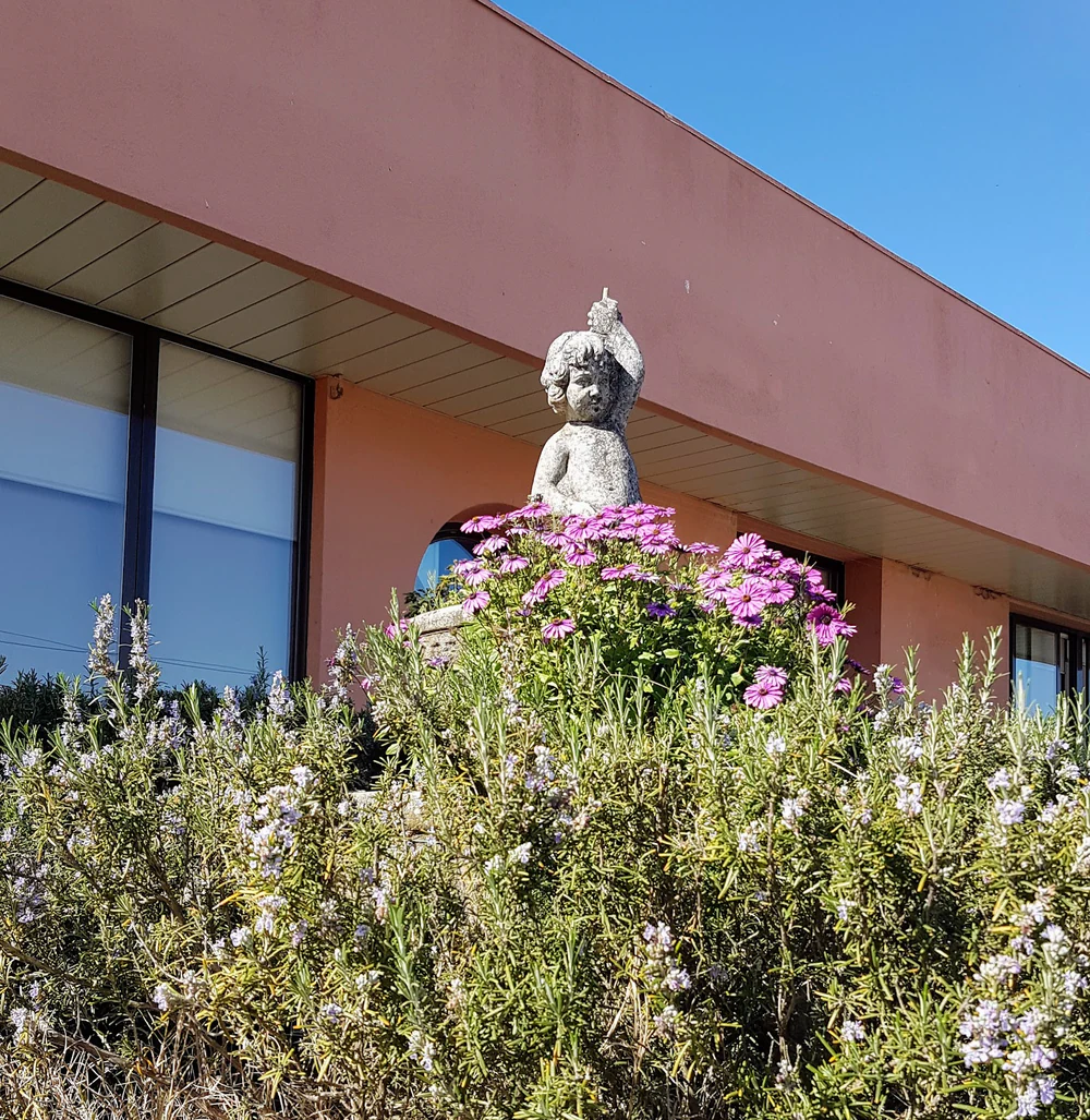 Foto de Instituto de Mayores y Servicios Sociales