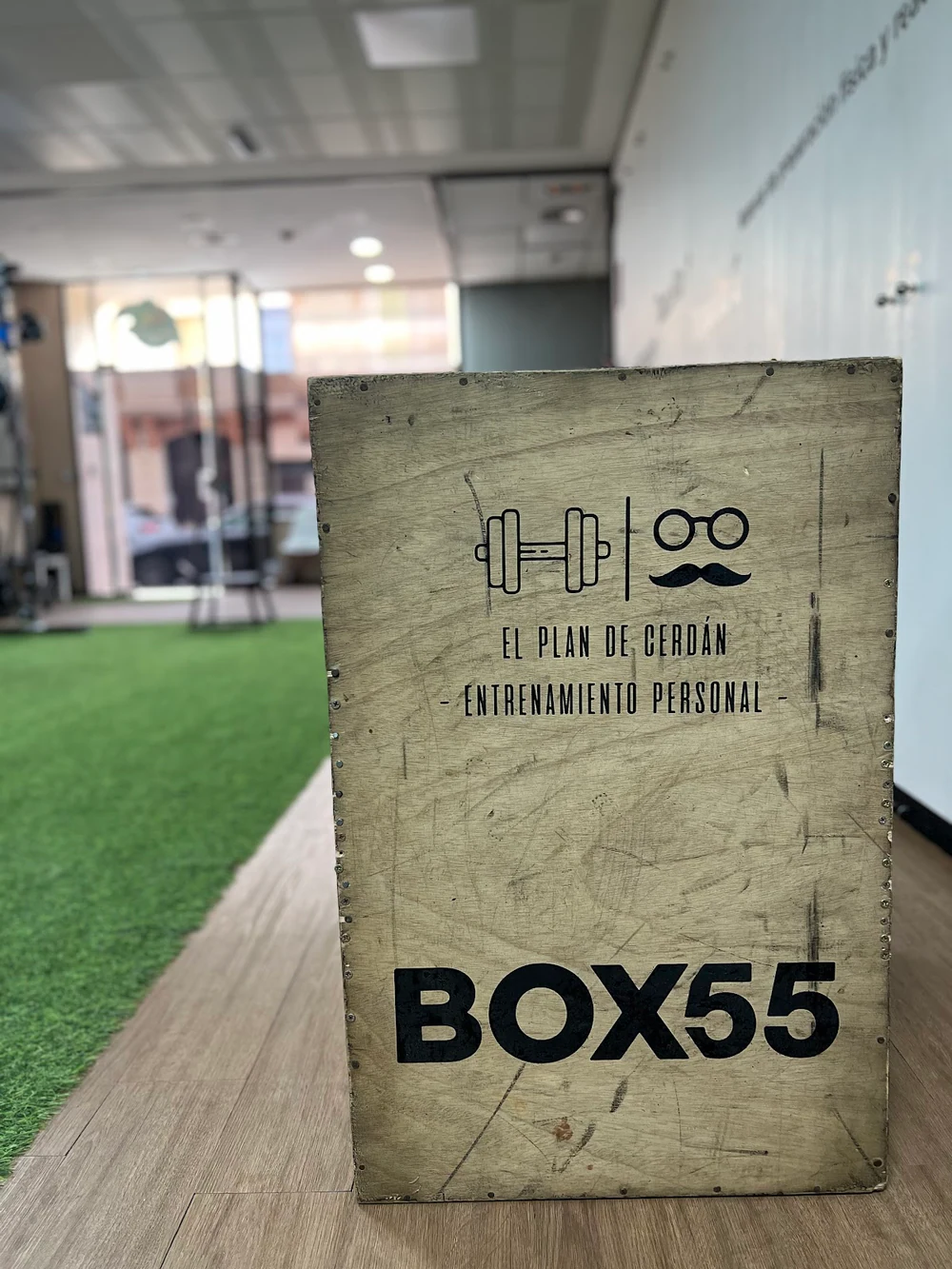 BOX55 FISIOTERAPIA DEPORTIVA y ACADEMIA