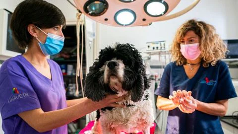 Centre Veterinari Alella