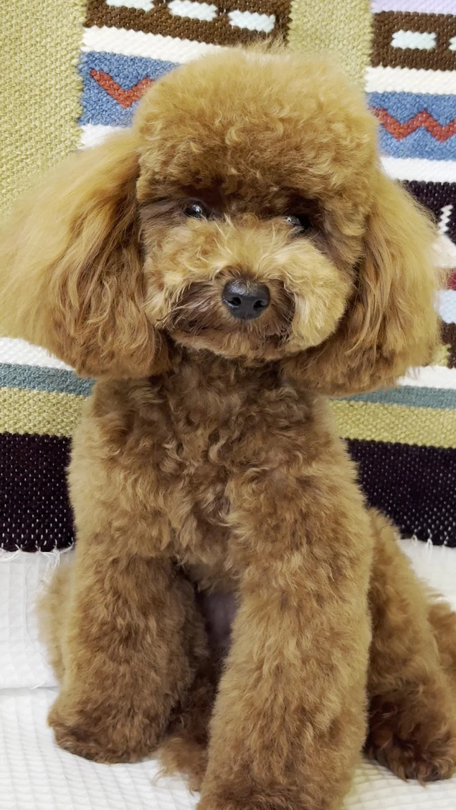 Foto de Academia de Peluquería y Estética Paco Ocaña
