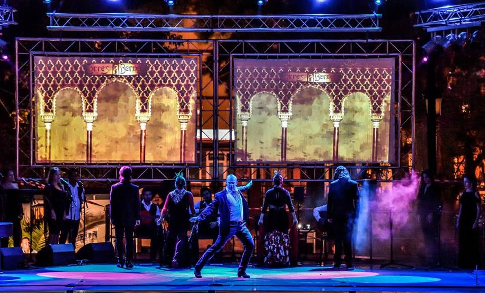 Baile flamenco David Lozano