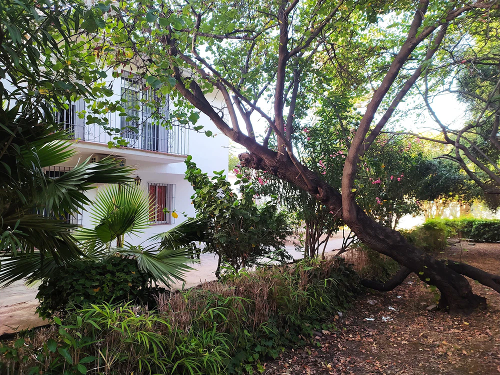 Foto de UNED - Campo De Gibraltar