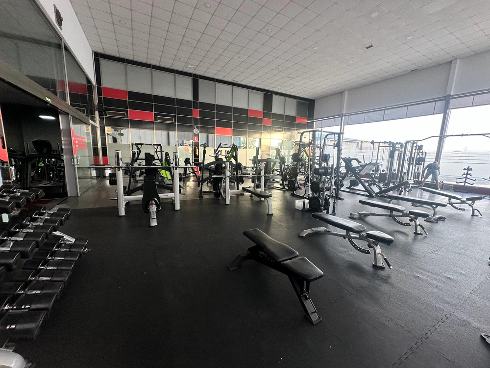 Foto de Zona Fitness Algemesí