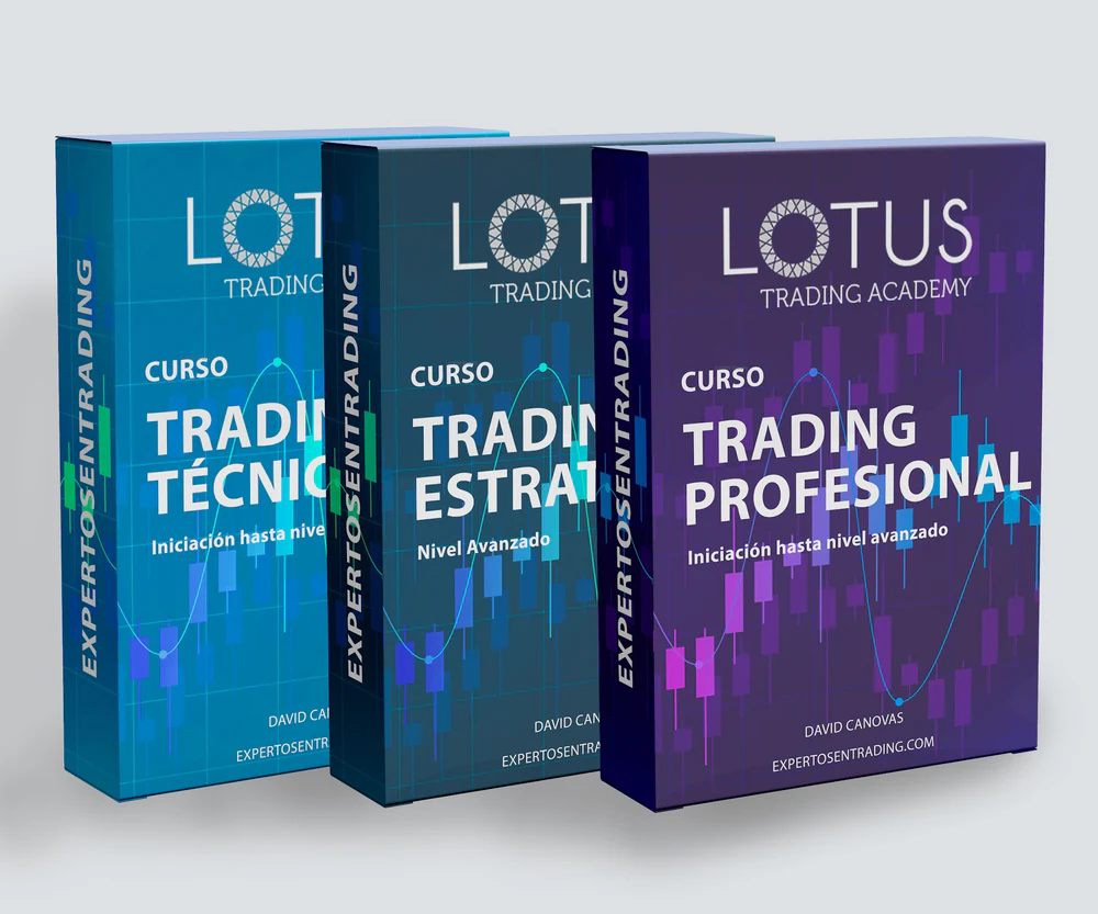Foto de Academia de Trading y Bolsa - Lotus Trading Academy