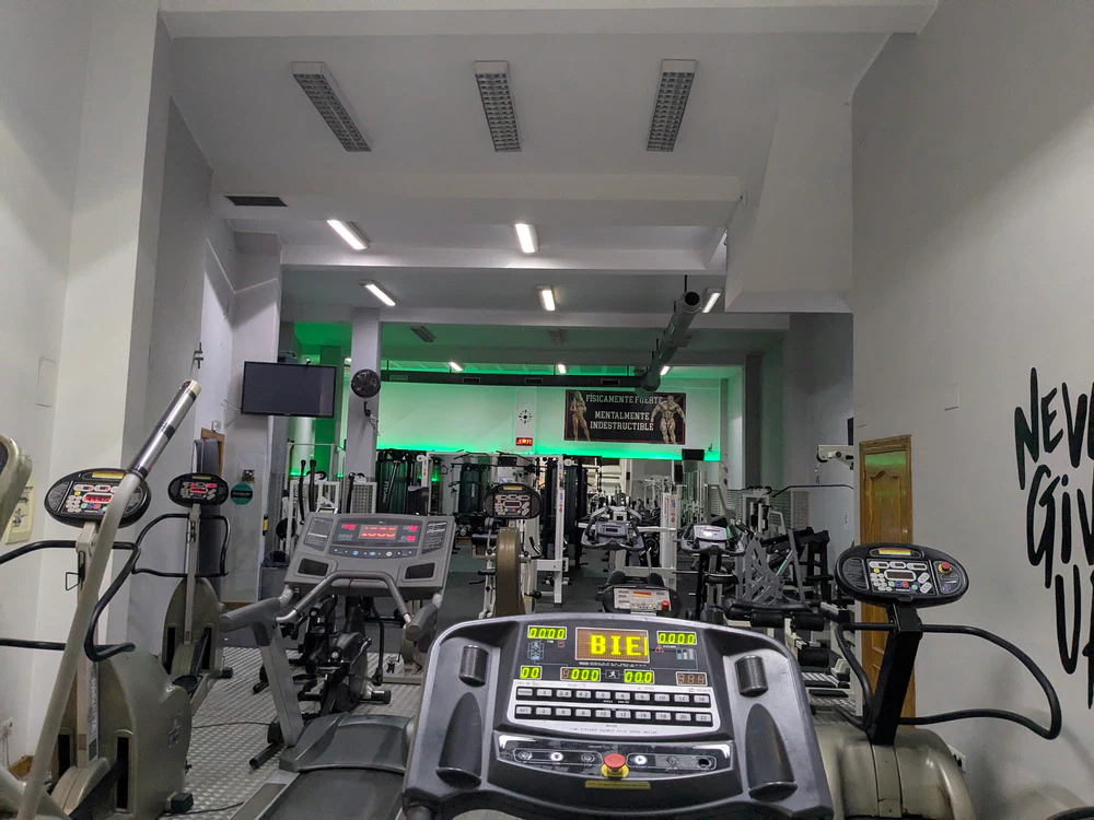 Foto de Alpha training