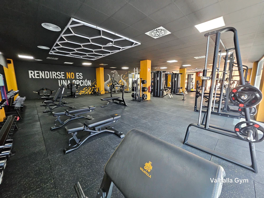 Valhalla Gym Almussafes