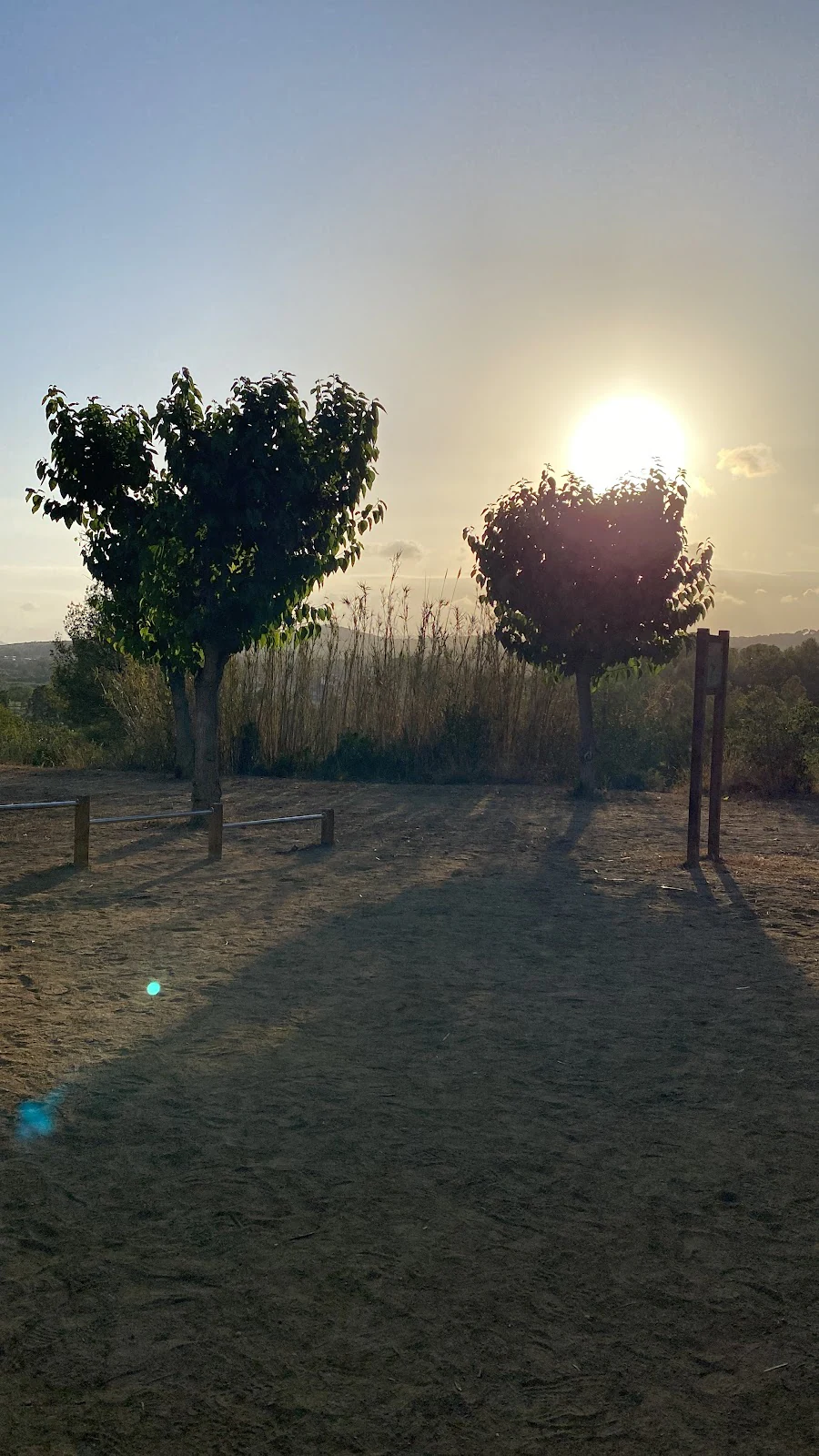 Foto de Mueve T - Altafulla