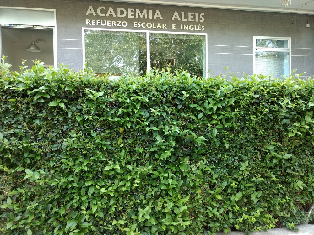Foto de Academia De Estudios Aleis