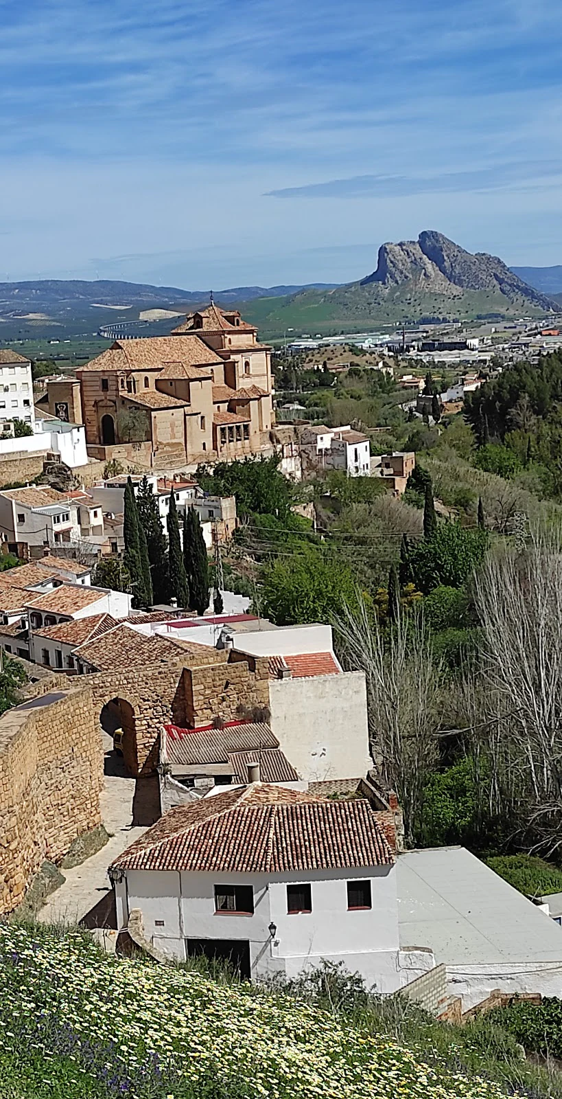 Foto de Instituto del Opositor