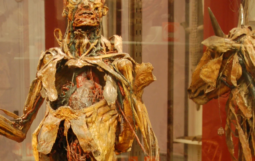 Foto de Real Academia Nacional de Medicina Española (RANM)