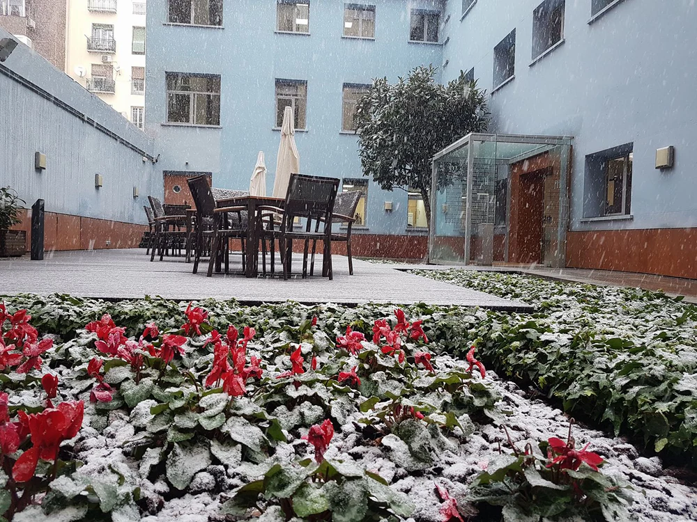 Foto de Instituto Italiano de Cultura de Madrid