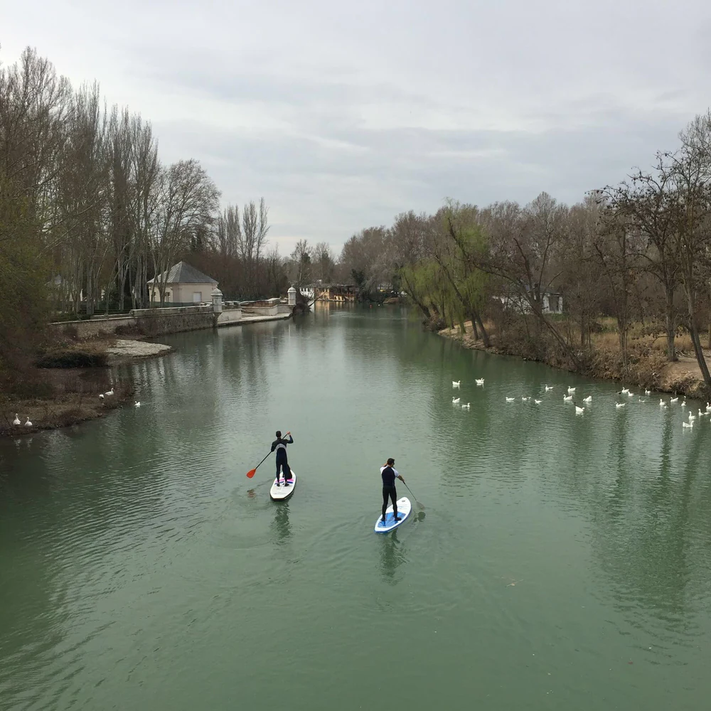Foto de Club escuela pádel Aranjuez