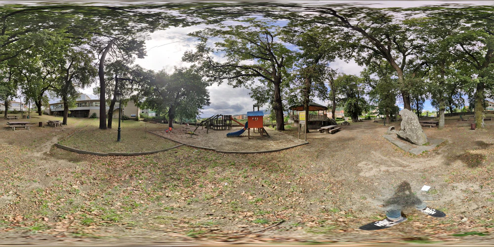Foto de Arbo