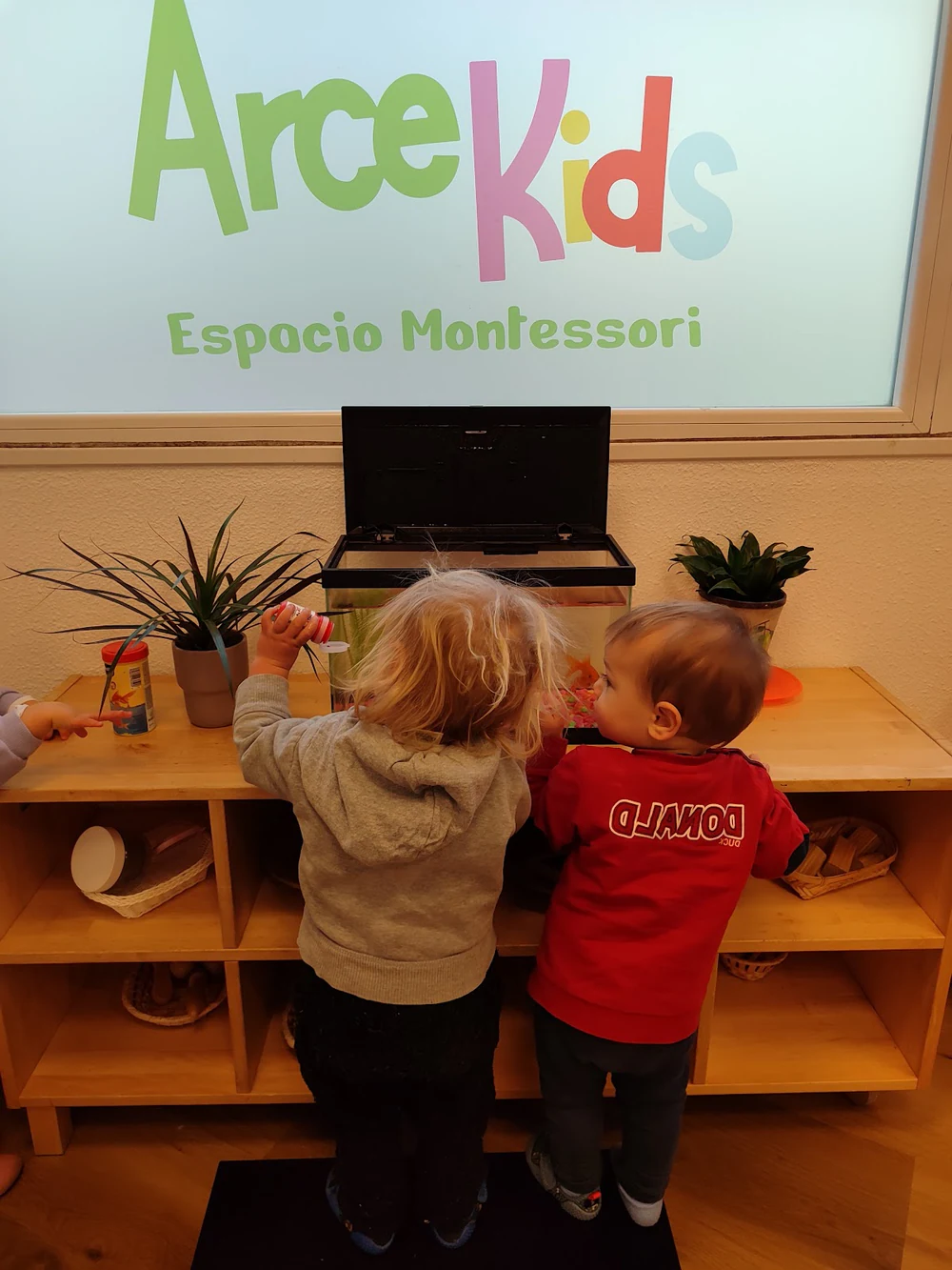 Portada de LOGOPEDIA ARCEKIDS