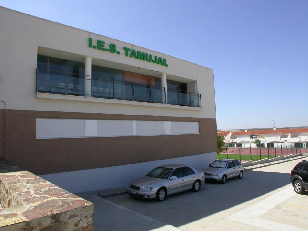 IES Tamujal