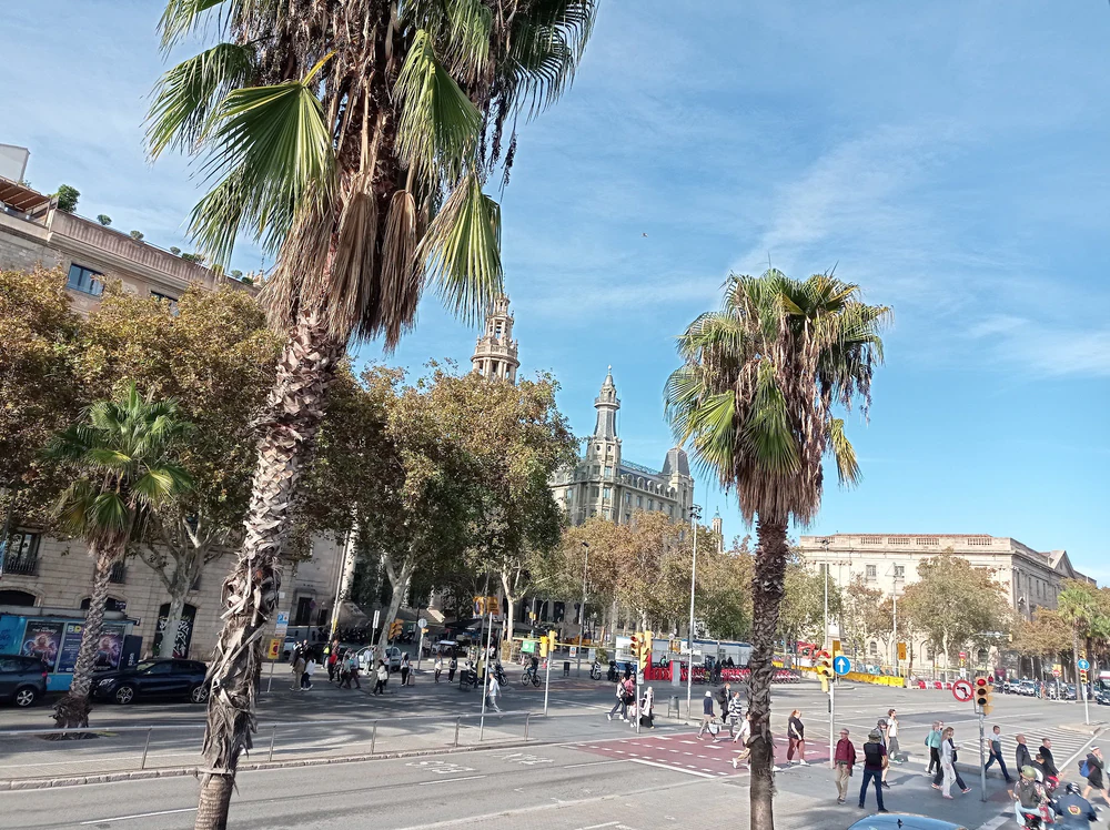 Foto de Real Academia Catalana de Bellas Artes de San Jorge
