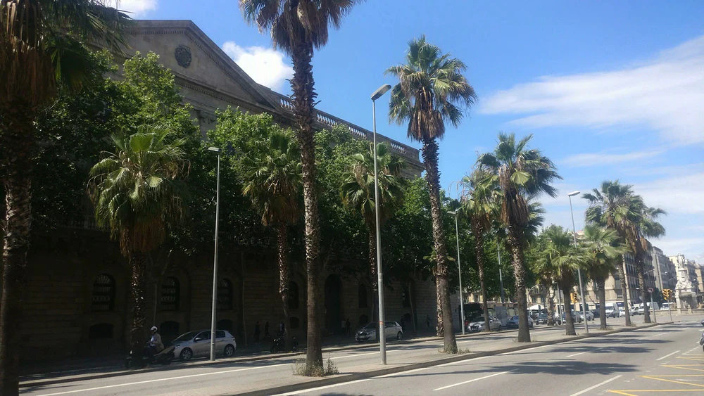Foto de Real Academia Catalana de Bellas Artes de San Jorge