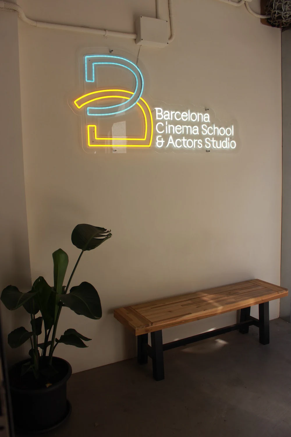 Foto de Academia de las Artes y las Ciencias Cinematográficas de España