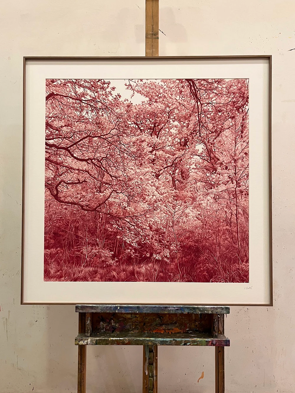 Foto de Academia de pintura Conchita Bardají