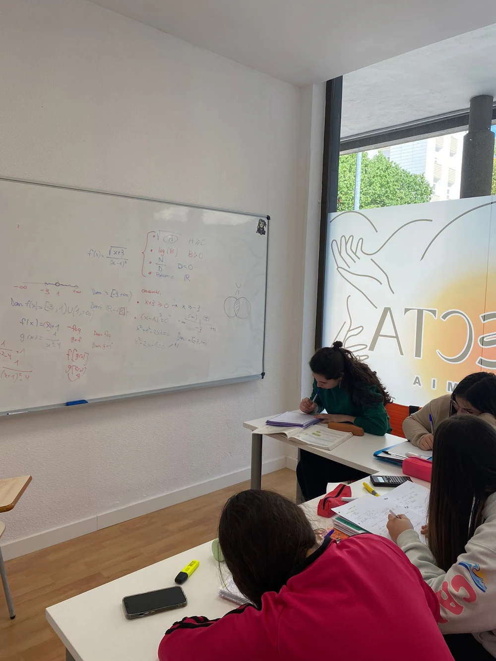 Conecta Academia