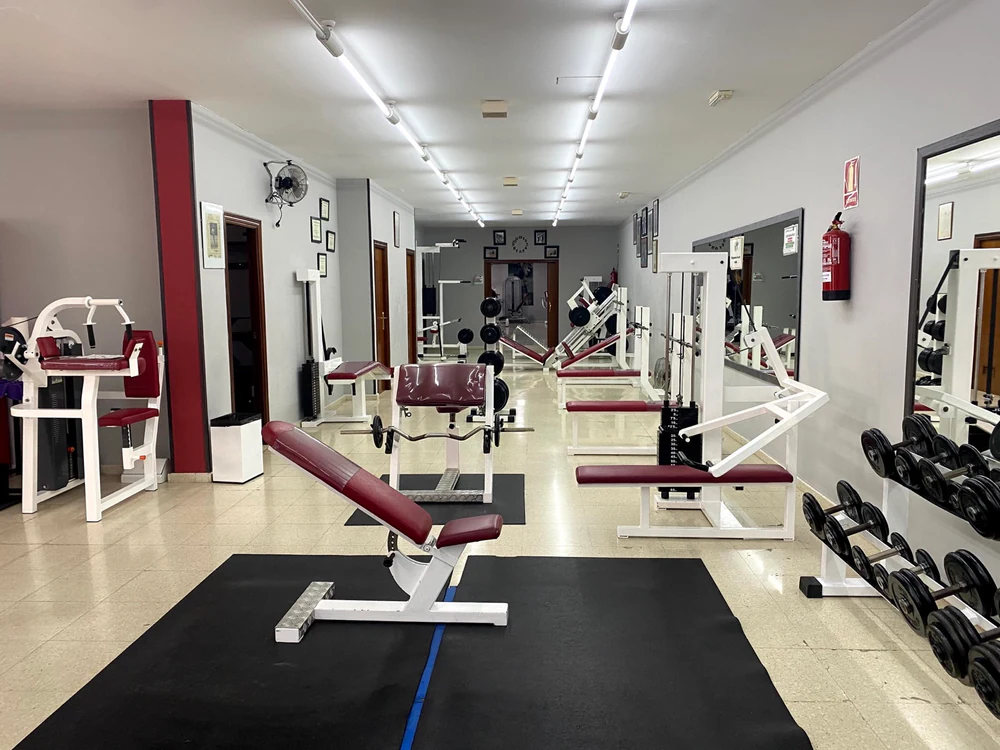 Foto de G7 Academia