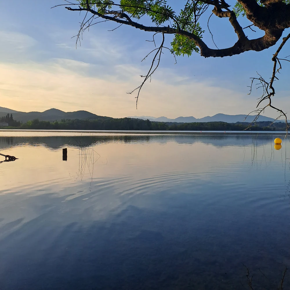 Foto de Club Natación Banyoles