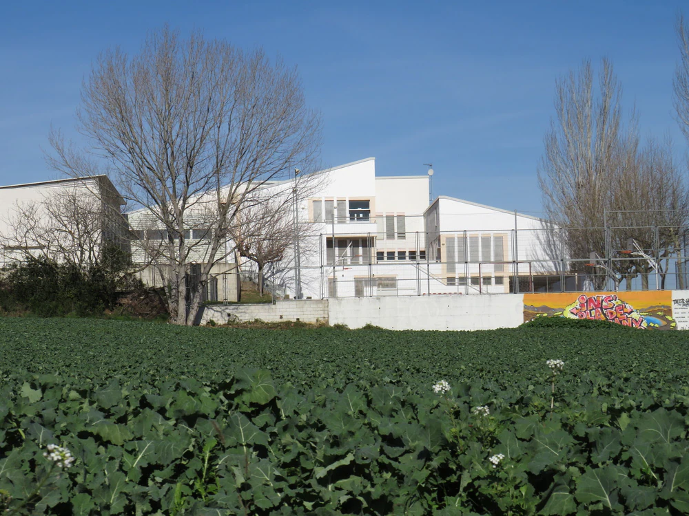 Instituto Pere Alsius