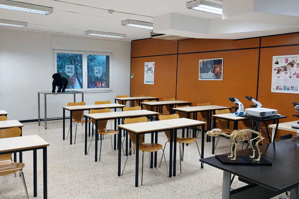 Foto de Centro de Formación Implika Barcelona