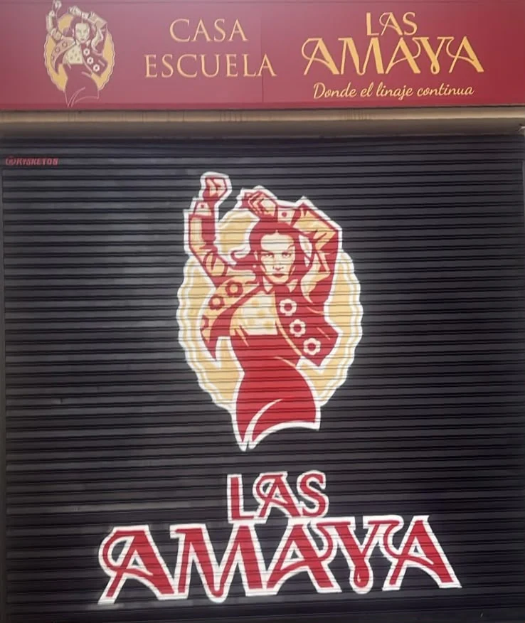 Foto de Casa Escuela Las Amaya Flamenco