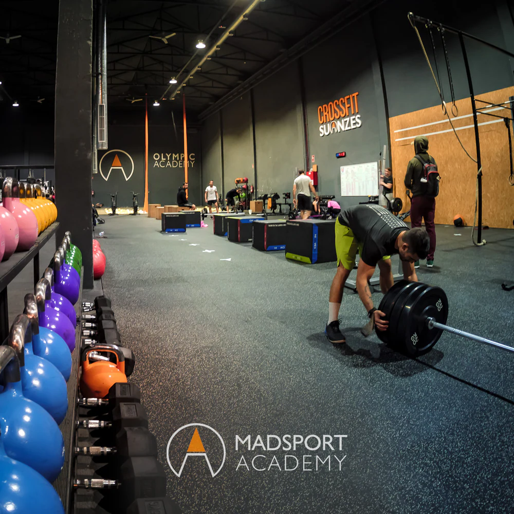 Foto de Martial Spirit Academy
