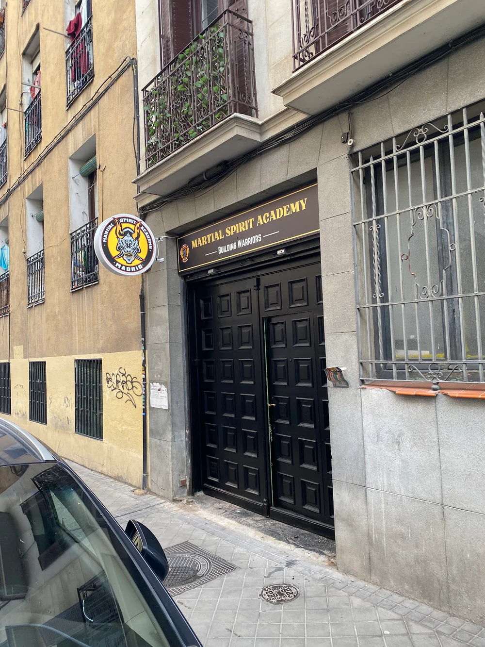 Martial Spirit Academy