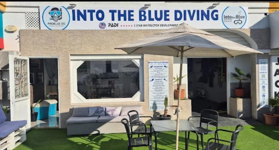 Foto de Escuela de Buceo Profesional TATO NOAIN