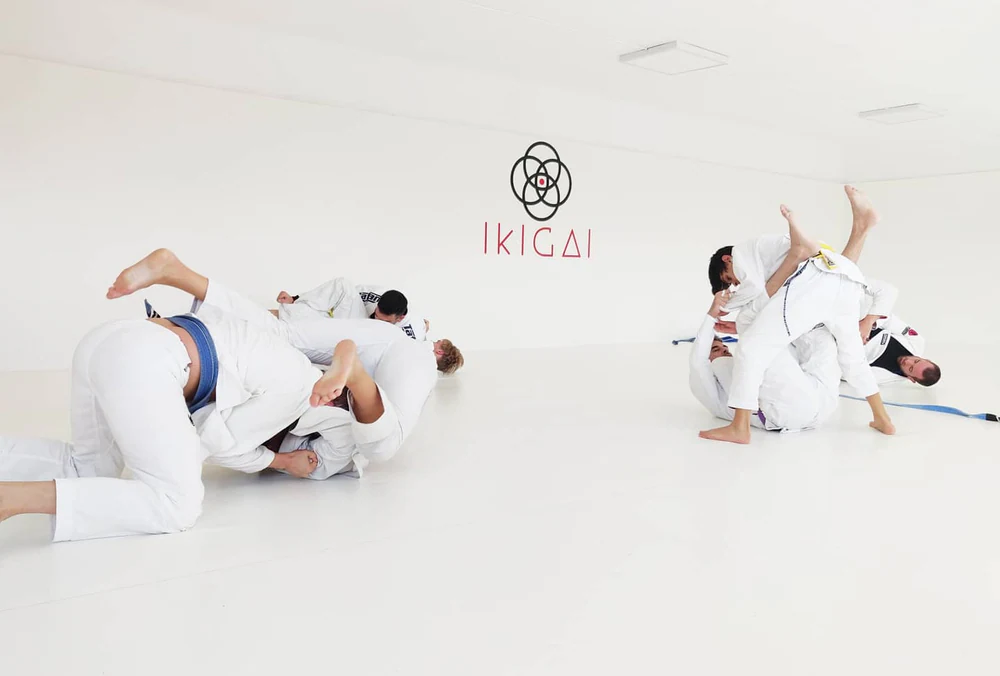 Foto de Academia Ikigai