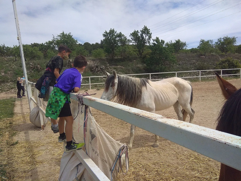 Foto de Complejo Rural Las Lomas De Biar