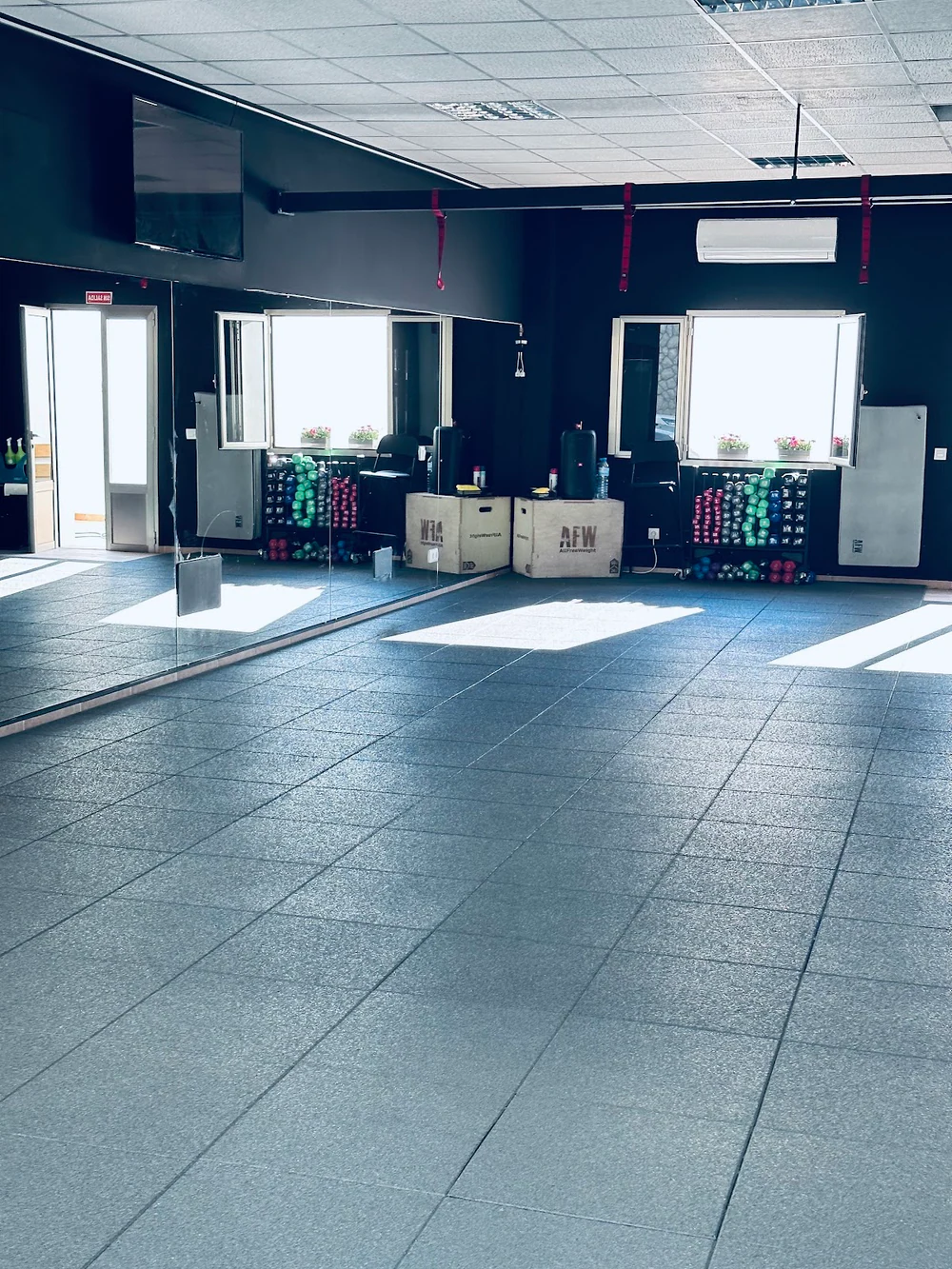 Movement / functional trainer: Neus Villalonga Villalonga