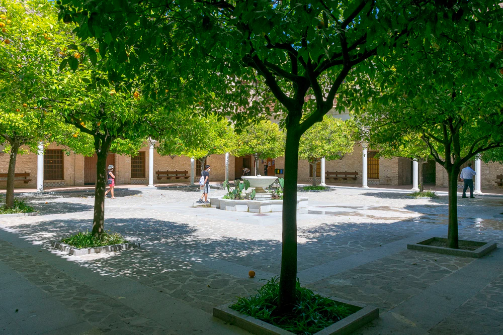 Foto de IES El Convento
