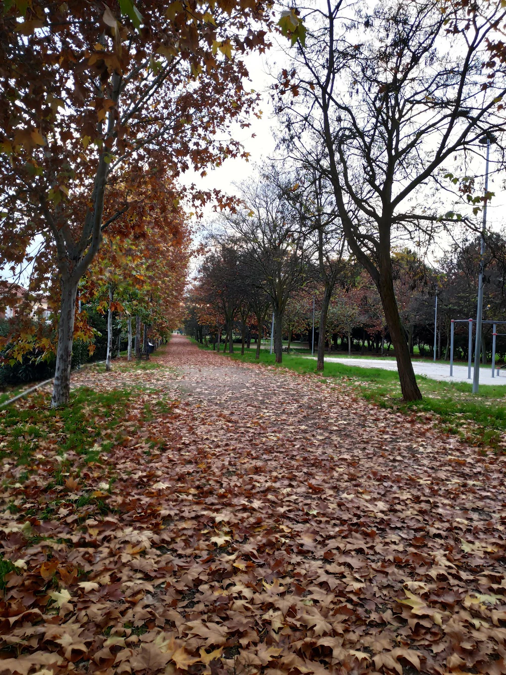 Foto de CENTRO FITNESS CABANILLAS DEL CAMPO