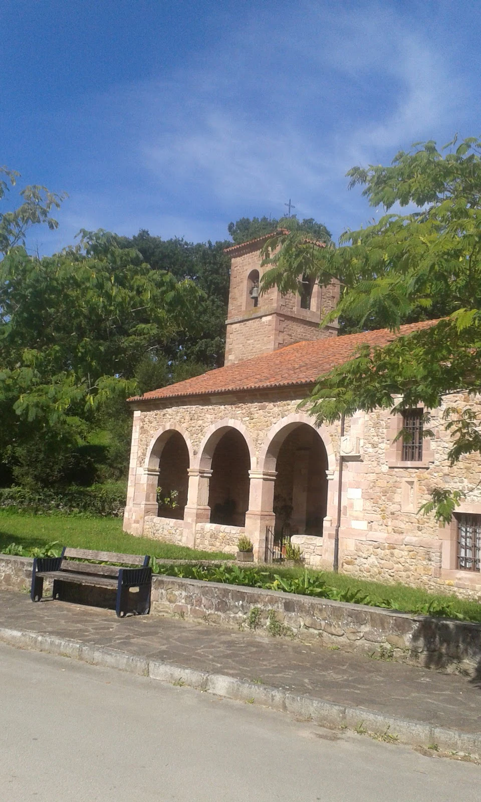 ACADEMIA CORNER