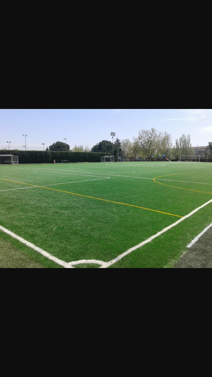 Foto de Campo y Escuela de Fútbol Alameda de Osuna