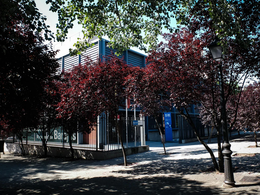 Foto de Academia Del Castillo
