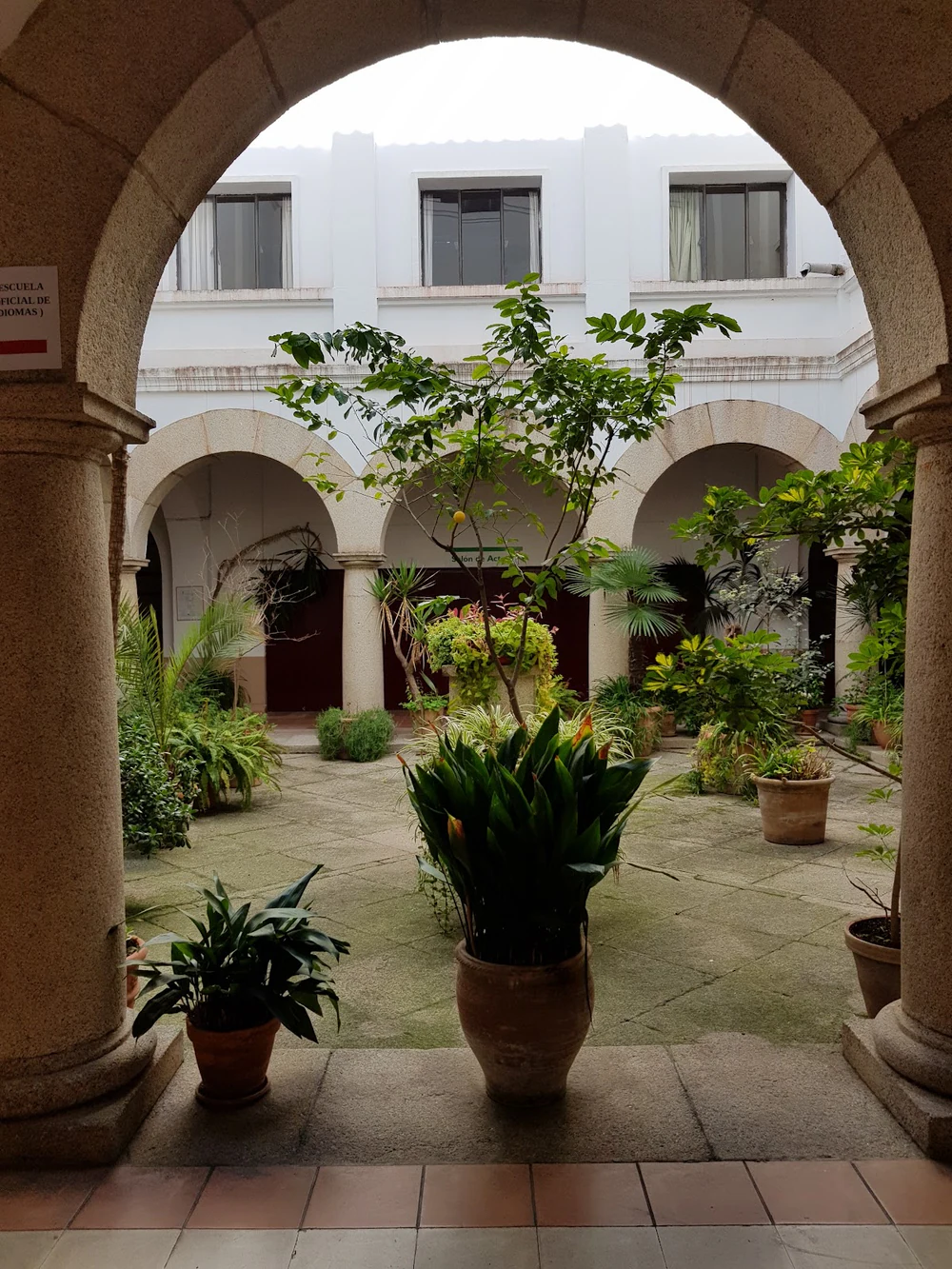 Foto de Ahora China Escuela De Chino