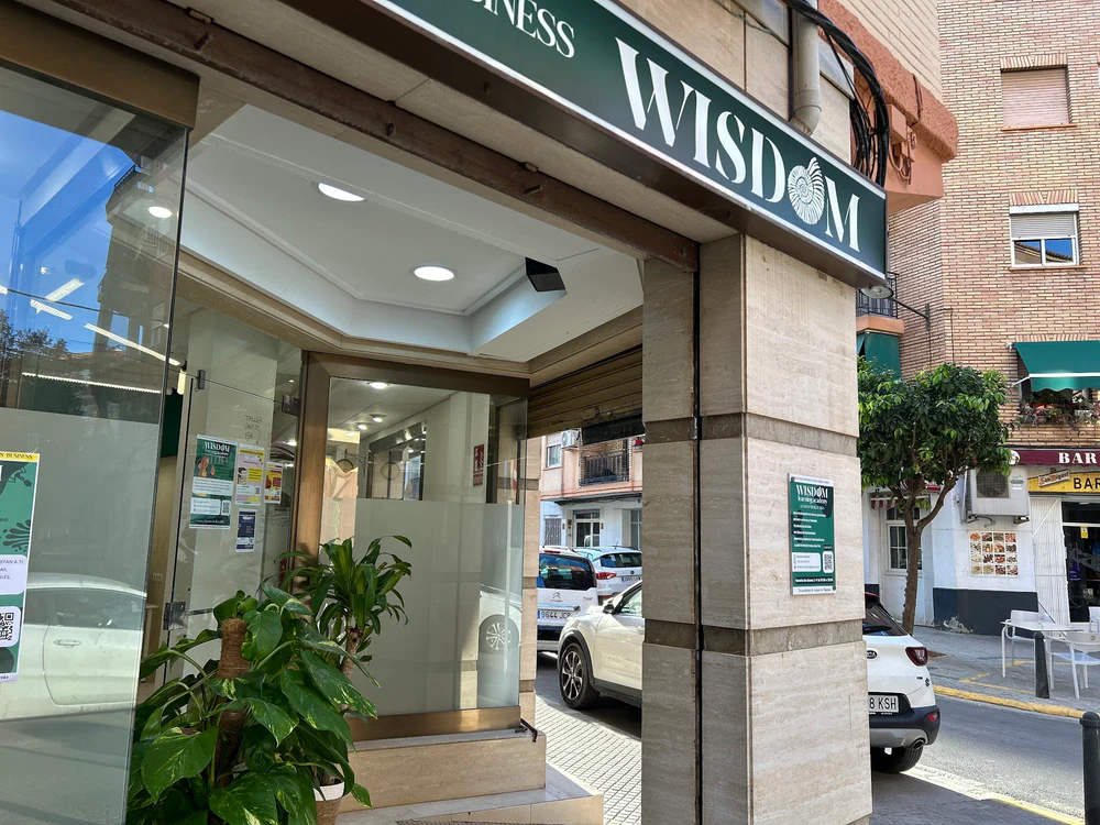 Wisdom Academy