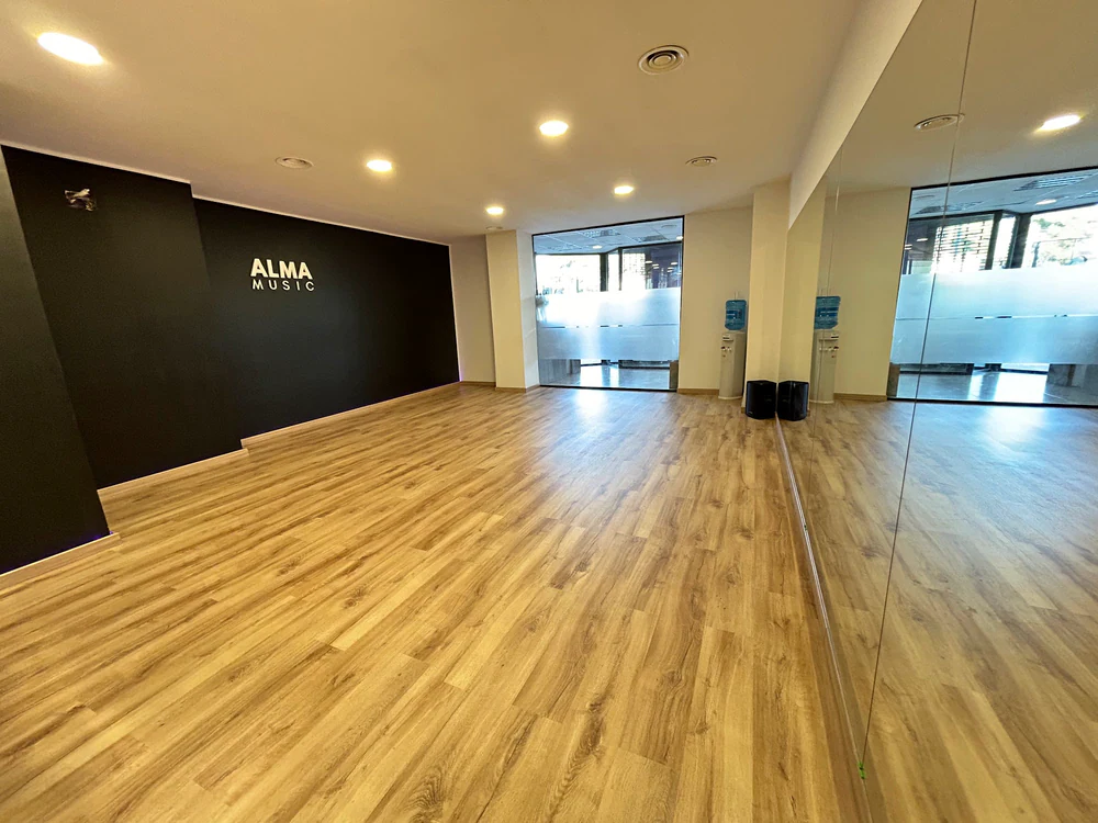 Foto de Alma Music - Formació artística