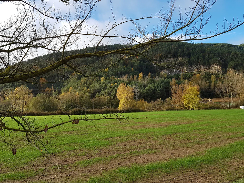 Foto de Residència Assistida Comarcal de Campdevànol