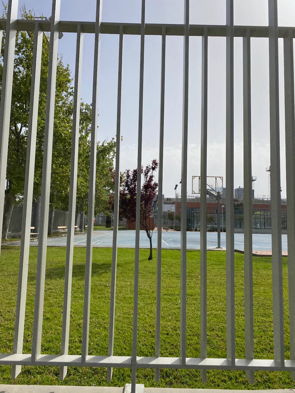 Foto de Campo de Fútbol Albalat