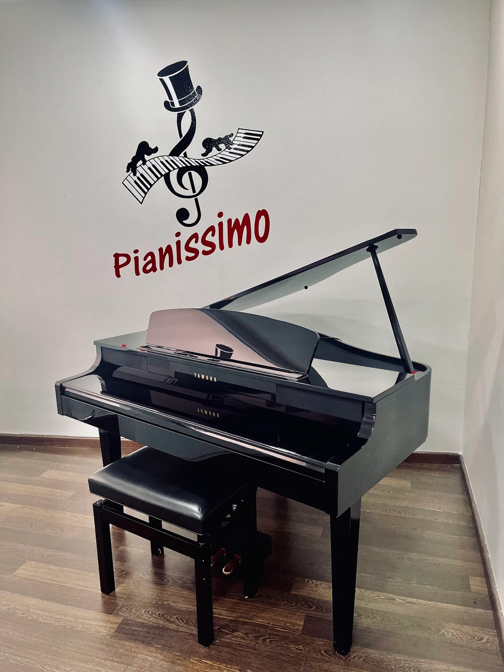 Foto de Pianissimo