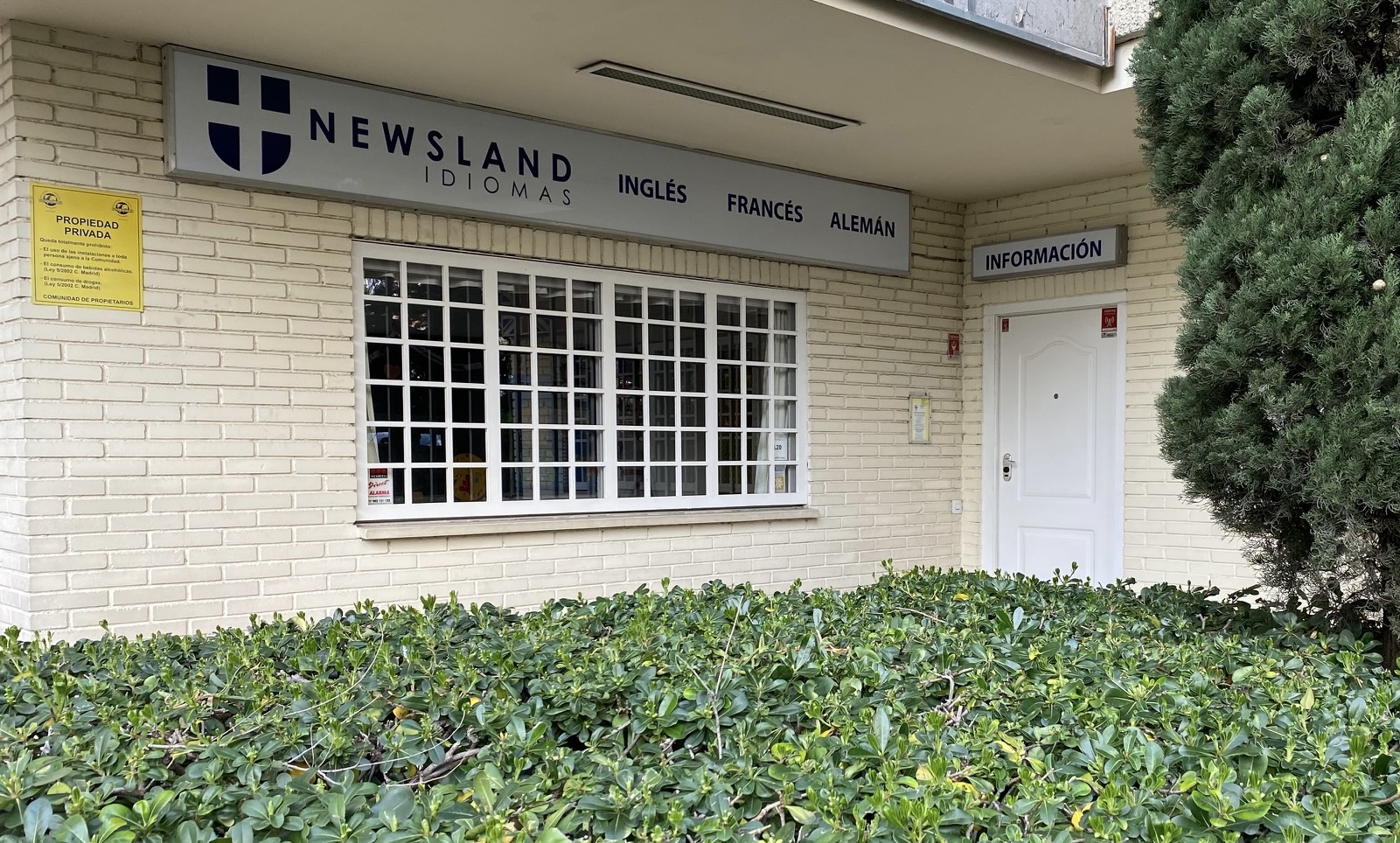 Newsland Idiomas - Curso intensivo de ingles y frances
