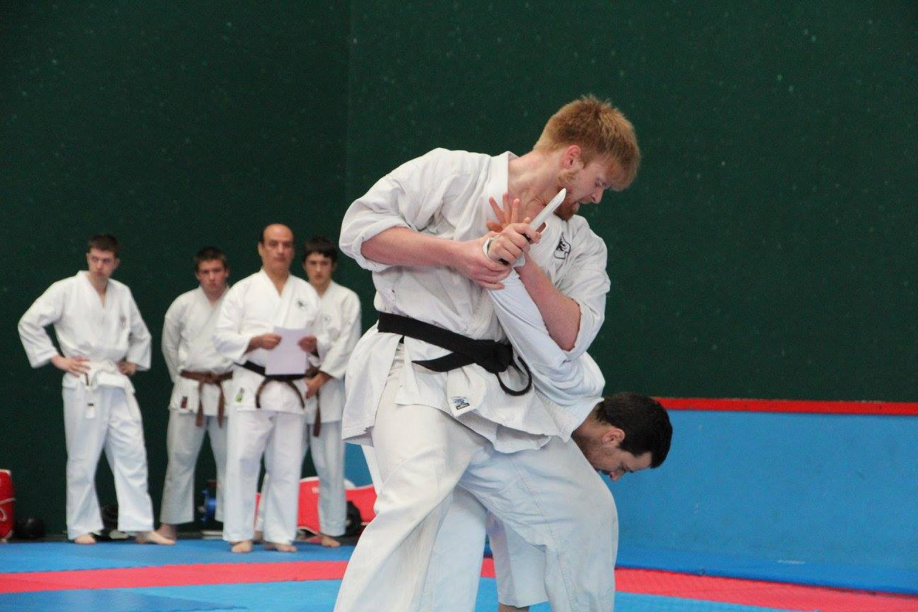 El Dojo Madrid, Escuela de artes marciales