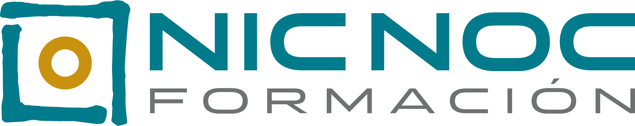 NIC NOC Formación